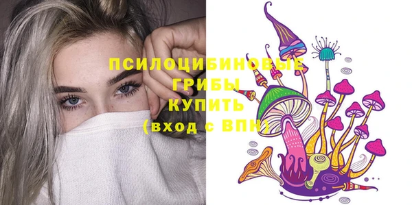 Альфа ПВП Дмитриев