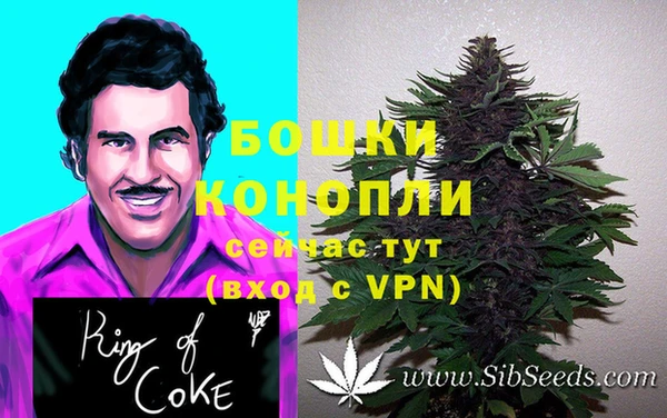 Альфа ПВП Дмитриев