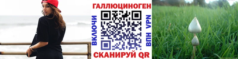 купить наркотики сайты Жуков Псилоцибиновые грибы GOLDEN TEACHER